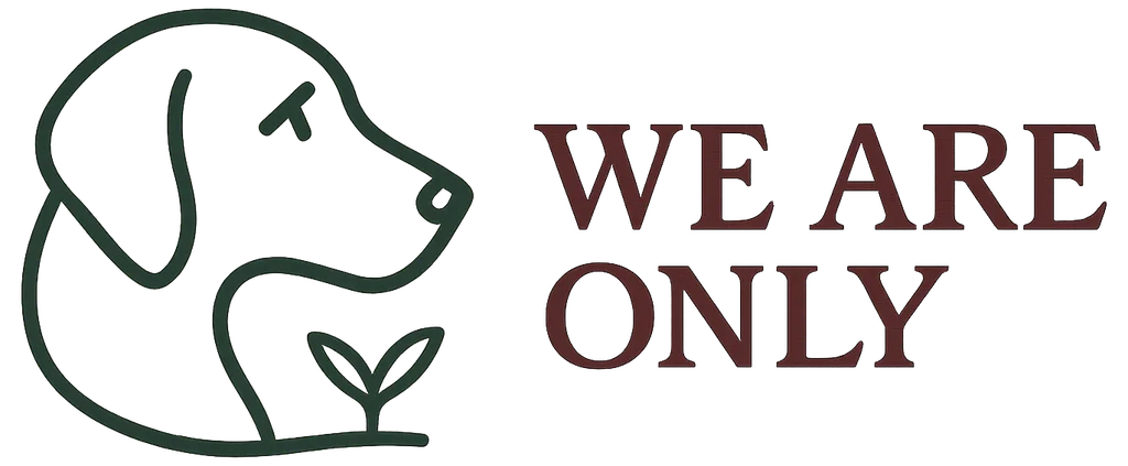 WE ARE ONLY